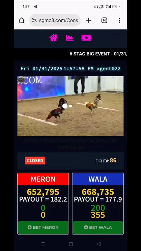 tamasa sabong|Online Sabong Talpakan team.